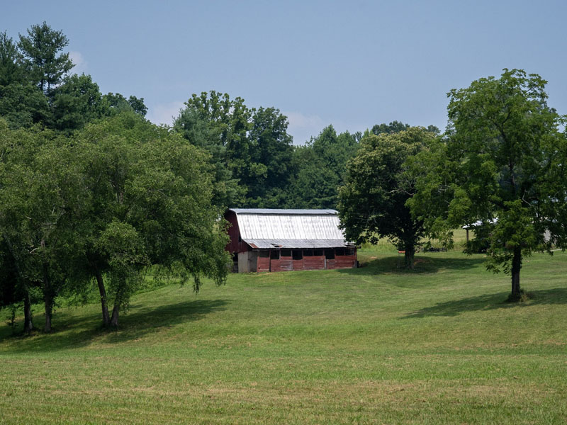 RFGall30
